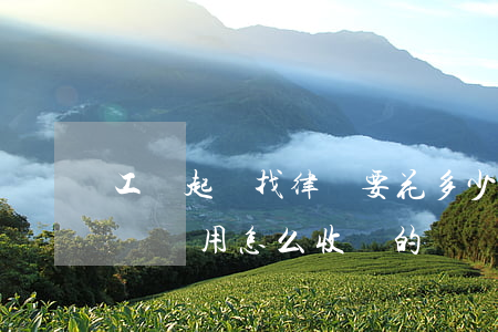 工傷起訴找律師要花多少錢(找律師算工傷賠償費用怎么收費的)