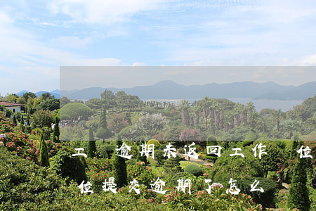 工傷逾期未返回工作崗位怎么處理-工傷單位提交逾期了怎么辦