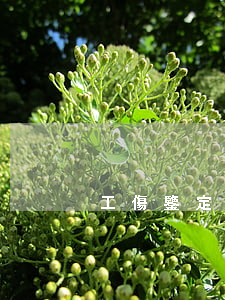 工傷鑒定律師所