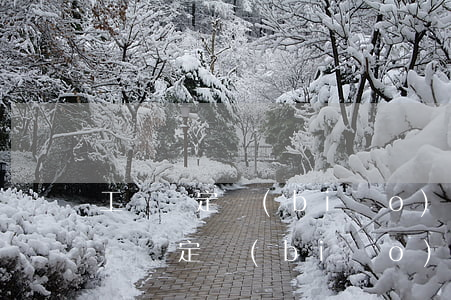 工傷鑒定標(biāo)準(zhǔn)(工傷鑒定標(biāo)準(zhǔn) 手指頭)