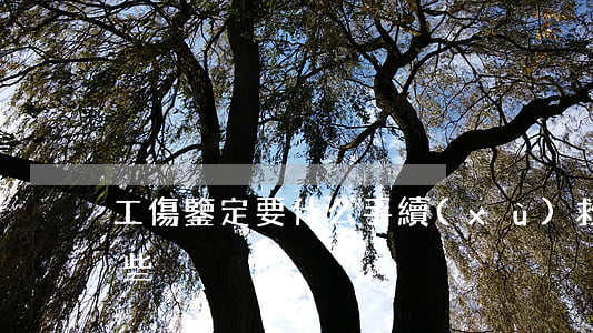 工傷鑒定要什么手續(xù),救濟途徑有哪些