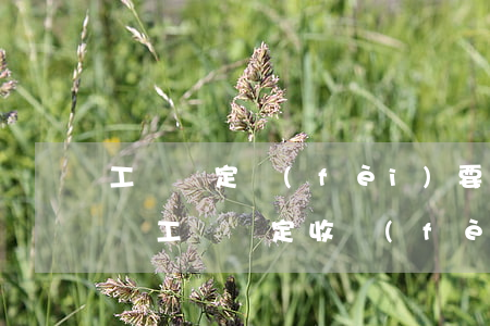工傷鑒定費(fèi)要3000多是什么錢(工傷鑒定收費(fèi)標(biāo)準(zhǔn)是多少)