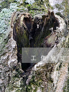 工傷鑒定需要多長(zhǎng)時(shí)間(二次工傷鑒定需要多長(zhǎng)時(shí)間)