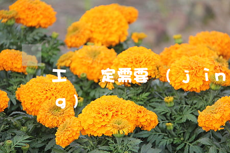 工傷鑒定需要進(jìn)行申請(qǐng)嗎