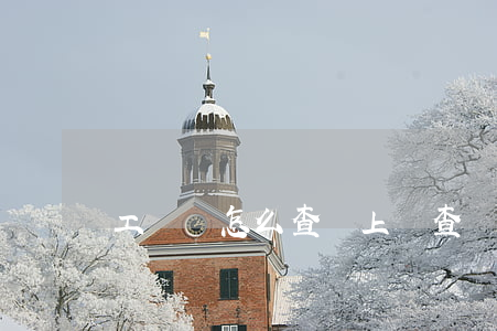 工傷險怎么查詢（上網查詢）