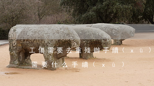 工傷需要去重殘辦手續(xù)嗎(傷殘鑒定需要什么手續(xù))