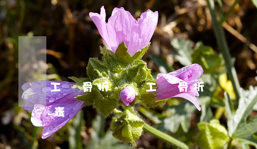 工傷骨折賠償(工傷骨折賠償價(jià)格表)