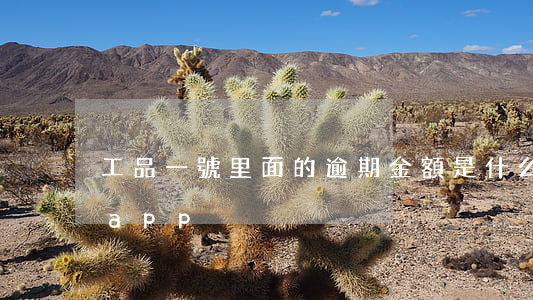 工品一號里面的逾期金額是什么-工品一號app