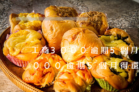 工商3000逾期5個月得還多少-工商3000逾期5個月得還多少錢呢
