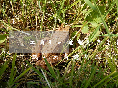 工商3w逾期2年了怎么協(xié)商還款-工商逾期三萬(wàn)多久會(huì)上門