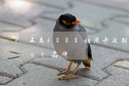 工商5000信用卡逾期7年(vergamot品牌)