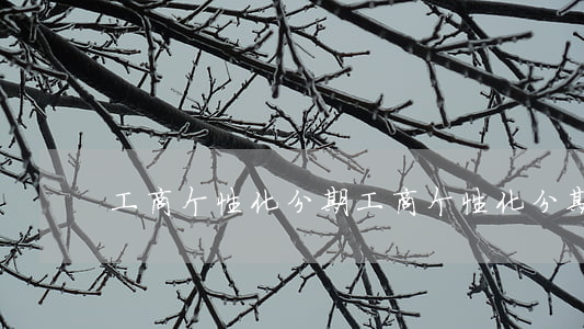 工商个性化分期(工商个性化分期)
