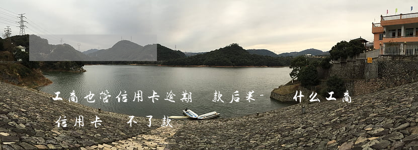 工商也管信用卡逾期還款后果-為什么工商信用卡還不了款