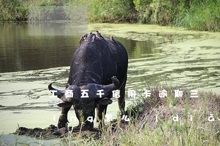 工商五千信用卡逾期三個(gè)月(rating怎么點(diǎn))