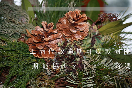 工商代款逾期可以歉商停息掛帳嗎-工商逾期能協(xié)商嗎