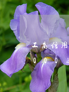 工商信用卡1000逾期一年(工商信用卡1000逾期一年怎么辦)
