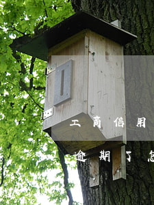 工商信用卡1萬額度逾期(信用卡一萬元以下逾期了怎么辦)