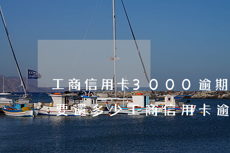 工商信用卡3000逾期5個(gè)月需要還多少（工商信用卡逾期3個(gè)月多）