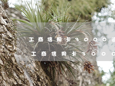 工商信用卡3000逾期八個(gè)月-工商信用卡3000逾期八個(gè)月會(huì)怎么樣