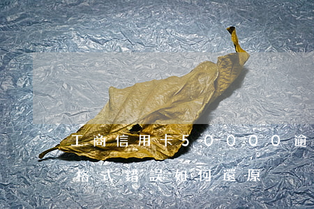 工商信用卡50000逾期(excel表格格式錯誤如何還原)