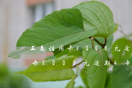 工商信用卡5000元逾期4年-工商信用卡5000元逾期4年怎么辦