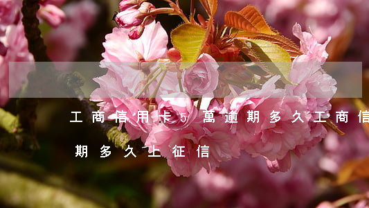 工商信用卡5萬逾期多久(工商信用卡5萬逾期多久上征信)