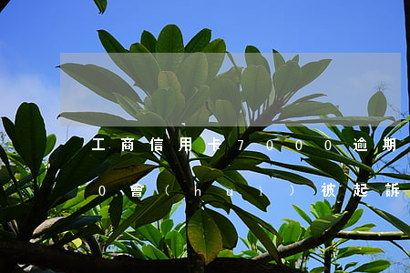 工商信用卡7000逾期(信用卡逾期7000會(huì)被起訴嗎)