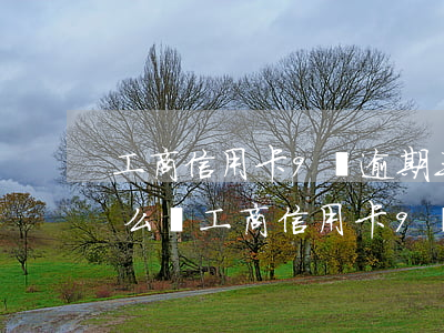 工商信用卡9萬逾期三個(gè)多月了怎么辦（工商信用卡9萬逾期三個(gè)多月了）