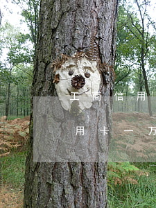 工商信用卡一万逾期一年会怎么样-工商信用卡一万逾期一年会怎么样吗