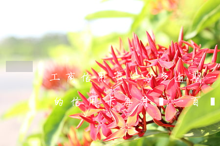 工商信用卡一千多逾期一個(gè)月(逾期的信用卡每月還一百會(huì)怎么樣)