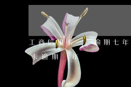 工商信用卡一萬逾期七年多(工商兩萬的信用卡逾期兩年)