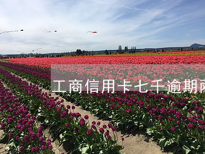 工商信用卡七千逾期兩年