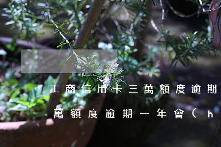 工商信用卡三萬額度逾期一年(工商信用卡三萬額度逾期一年會(huì)怎么樣)