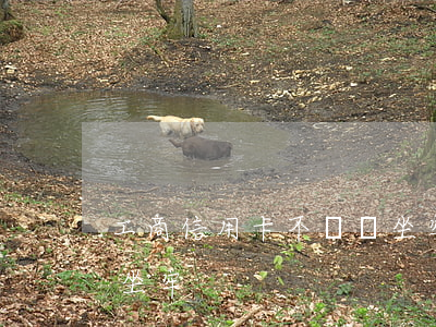 工商信用卡不還會坐牢嗎(信用卡不還會不會坐牢)