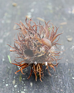 工商信用卡五千逾期多久起訴 欠信用卡五千多會(huì)被起訴