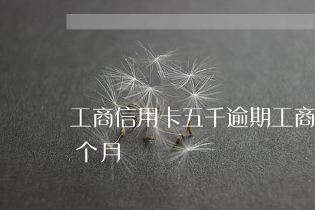 工商信用卡五千逾期(工商信用卡五千逾期两个月)