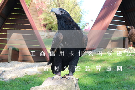 工商信用卡什么时候还款算逾期(工商信用卡什么时候还款算逾期)