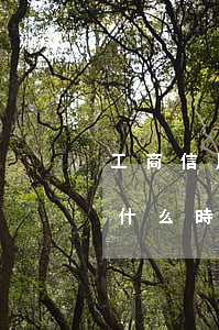 工商信用卡什么時候還款算逾期(工商信用卡什么時候還款算逾期)