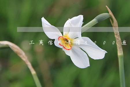 工商信用卡借3000逾期兩年多