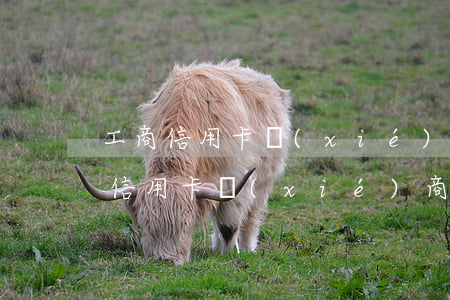 工商信用卡協(xié)商中心(與工商銀行信用卡協(xié)商)