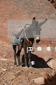 工商信用卡協(xié)商容易嗎(工商信用卡協(xié)商容易嗎)