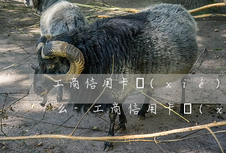 工商信用卡協(xié)商還款資料需要什么-工商信用卡協(xié)商還款資料需要什么手續(xù)