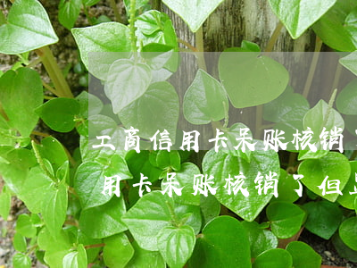 工商信用卡呆账核销了但显示逾期-工商信用卡呆账核销了但显示逾期怎么办