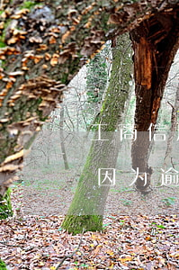 工商信用卡因为逾期被冻结上海(工商信用卡因为逾期被冻结上海)