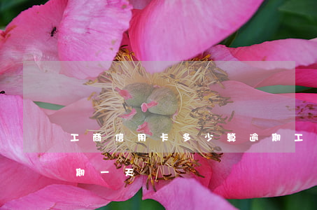 工商信用卡多少算逾期(工商信用卡多少算逾期一天)