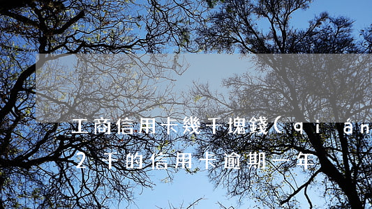工商信用卡幾千塊錢(qián)逾期(工商2千的信用卡逾期一年)