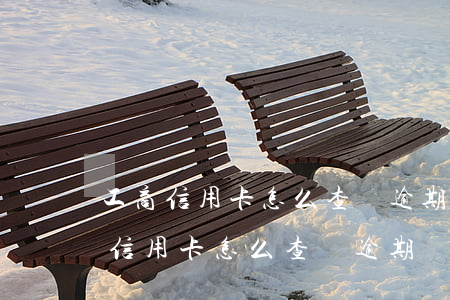 工商信用卡怎么查詢逾期沒有逾期記錄（工商信用卡怎么查詢逾期沒有）