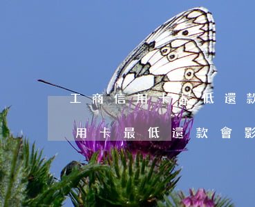 工商信用卡最低還款會影響征信嗎-工商信用卡最低還款會影響征信嗎知乎