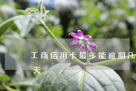 工商信用卡最多能逾期几天(工商可以逾期几天)