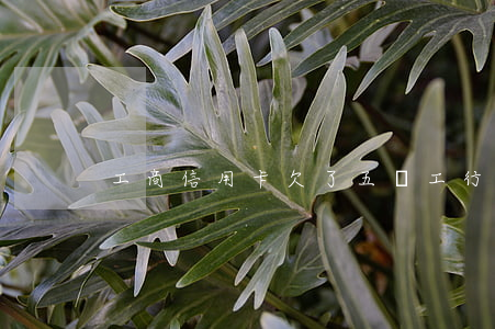工商信用卡欠了五萬 工行信用卡5萬逾期